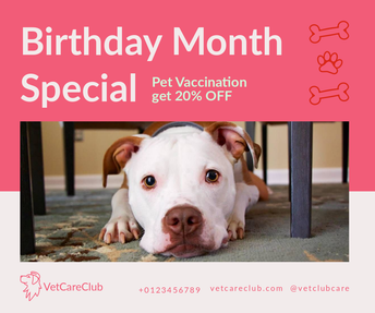 Vet Care Club